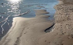 A Quelques Pas De La Mer La Capte